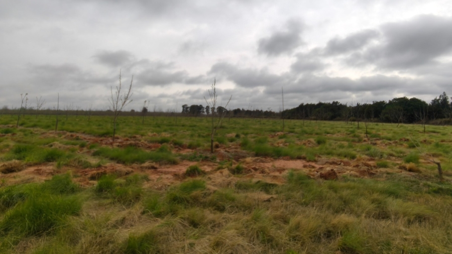 0 Bedroom Property for Sale in Koster North West